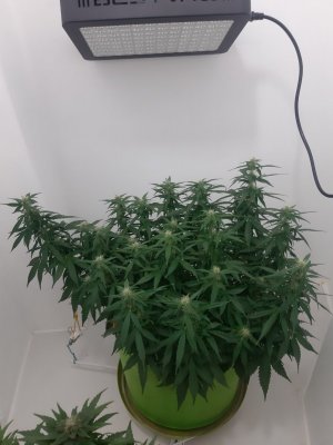 20230919_212813.jpg 20230919_212813.jpg