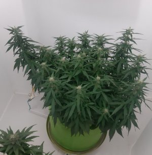 20230919_212854.jpg 20230919_212854.jpg