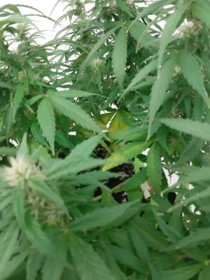 20230919_213314.jpg 20230919_213314.jpg