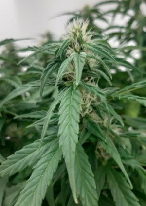 20230919_213505.jpg 20230919_213505.jpg