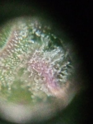 IMG20230920131830.jpg IMG20230920131830.jpg