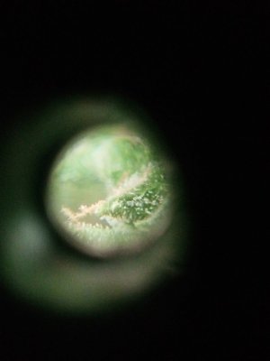 IMG20230920131510.jpg IMG20230920131510.jpg