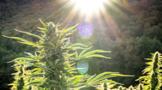 1695216885371.png 1695216885371.png