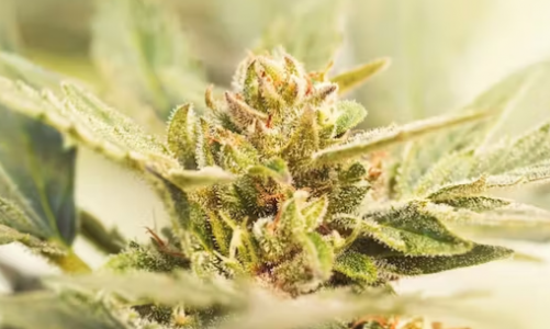 1695314399158.png 1695314399158.png