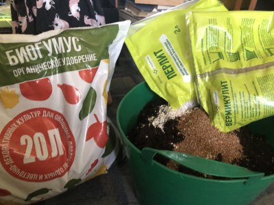 IMG_3804.jpeg IMG_3804.jpeg