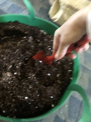 IMG_3806.jpeg IMG_3806.jpeg