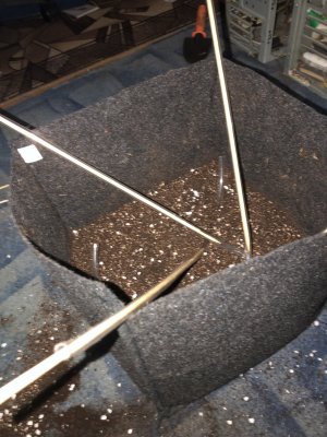 IMG_3810.jpeg IMG_3810.jpeg