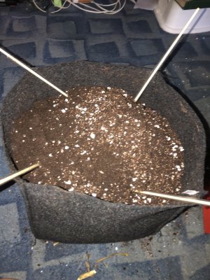 IMG_3814.jpeg IMG_3814.jpeg