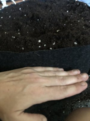 IMG_3815.jpeg IMG_3815.jpeg