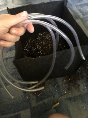 IMG_3808.jpeg IMG_3808.jpeg