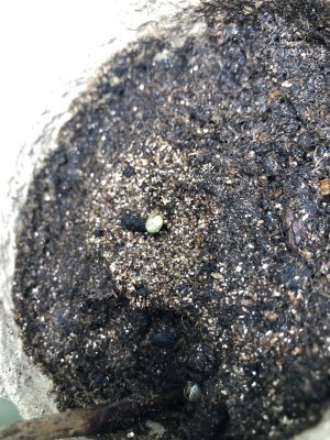 IMG_3857.jpeg IMG_3857.jpeg