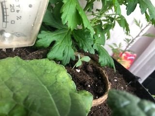 IMG_3856.jpeg IMG_3856.jpeg