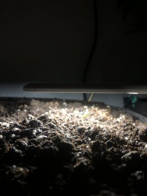 IMG_3979.jpeg IMG_3979.jpeg