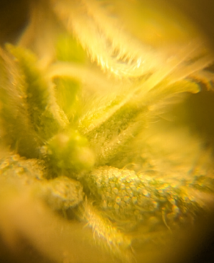 1695622583010.png 1695622583010.png