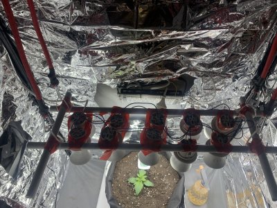 IMG_3257.jpeg IMG_3257.jpeg