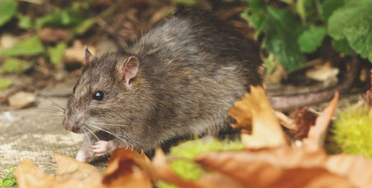 1695721472437.png 1695721472437.png