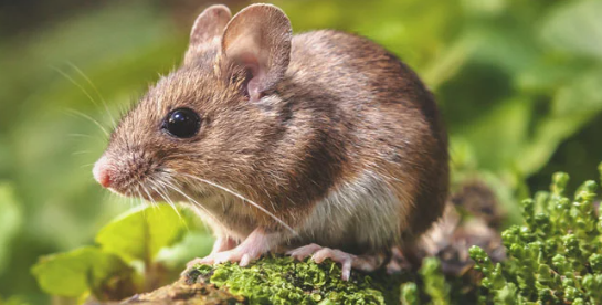 1695721488198.png 1695721488198.png