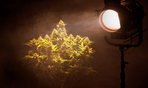 1695739511190.png 1695739511190.png