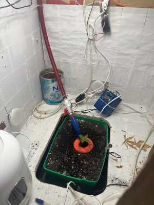 46ea22c7-45d8-44a9-b533-6963fc4fc944.JPG 46ea22c7-45d8-44a9-b533-6963fc4fc944.JPG