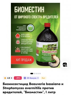 IMG_3321.jpeg IMG_3321.jpeg