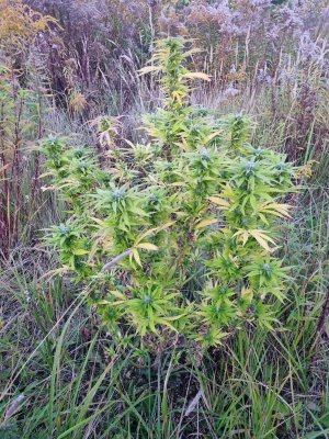 PHOTO-2023-09-30-08-40-47 (2).jpg