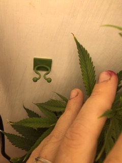 IMG_4406.jpeg IMG_4406.jpeg