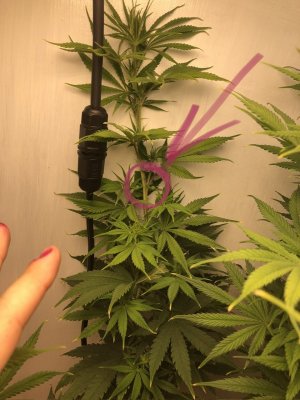 IMG_4407.jpeg IMG_4407.jpeg