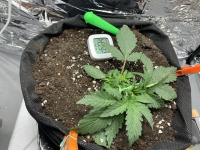 imgonline-com-ua-dexifm2zFcyUYJmJT.jpg imgonline-com-ua-dexifm2zFcyUYJmJT.jpg