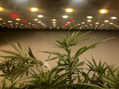 IMG_4465.jpeg IMG_4465.jpeg