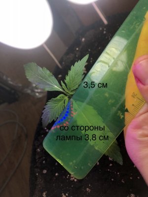 IMG_4467.jpeg IMG_4467.jpeg