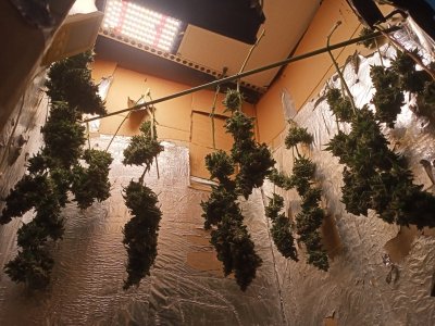 IMG20231001155038.jpg IMG20231001155038.jpg