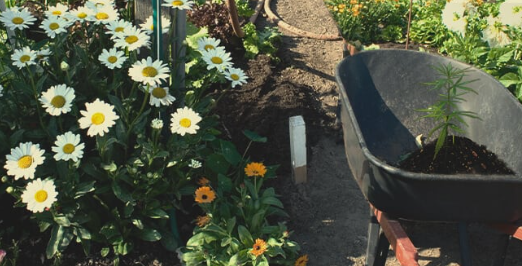 1696523075677.png 1696523075677.png