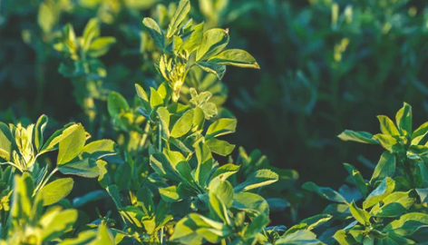 1696523238072.png 1696523238072.png