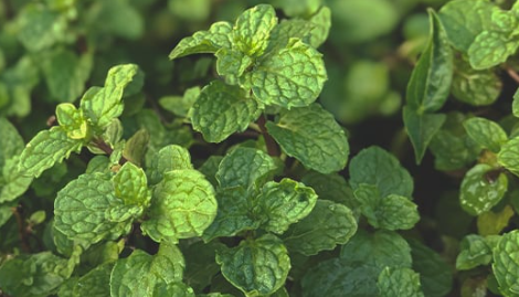 1696523329338.png 1696523329338.png