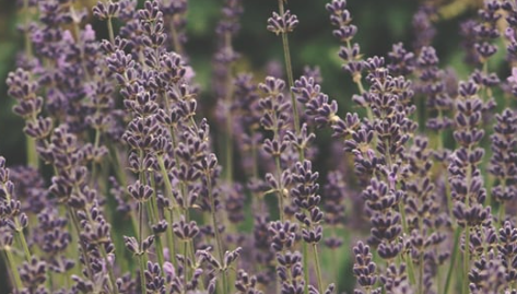 1696523348254.png 1696523348254.png