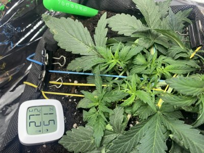 imgonline-com-ua-dexifffUcifMXryyE.jpg imgonline-com-ua-dexifffUcifMXryyE.jpg