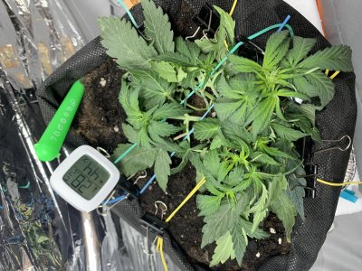 imgonline-com-ua-dexif6rD7BOkJvQRj.jpg imgonline-com-ua-dexif6rD7BOkJvQRj.jpg