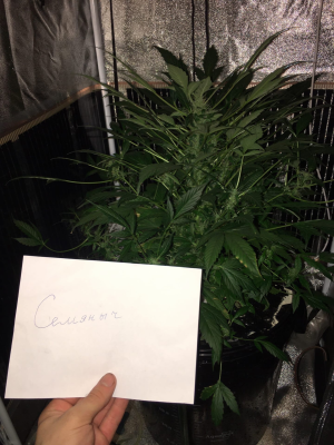 1696880706504.png 1696880706504.png