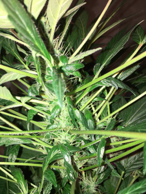 1696880743853.png 1696880743853.png