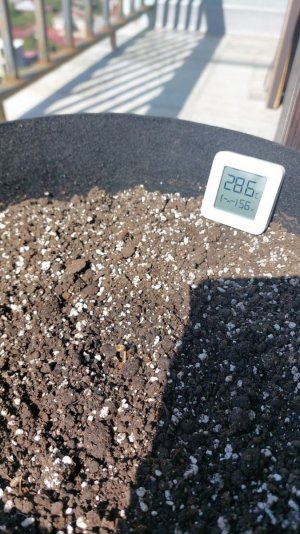 2023.10.05 - 1 день.jpg