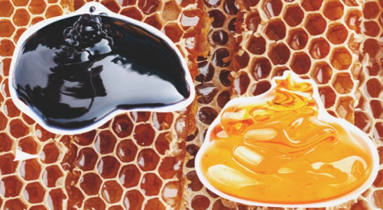 1697135577977.png 1697135577977.png