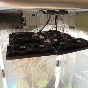 1697138987266.png 1697138987266.png