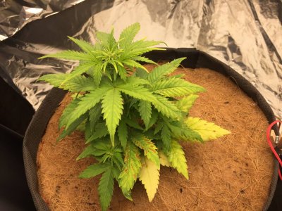 photo_2023-10-14_08-55-48.jpg photo_2023-10-14_08-55-48.jpg