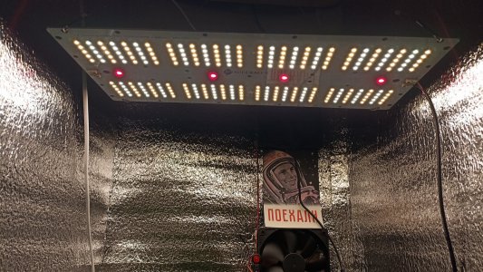 IMG_20231016_190008.jpg IMG_20231016_190008.jpg