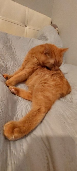 photo_2023-10-17_13-45-46.jpg photo_2023-10-17_13-45-46.jpg