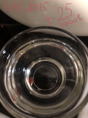 IMG_4726.jpeg IMG_4726.jpeg