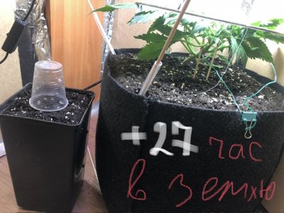 IMG_4728.jpeg IMG_4728.jpeg