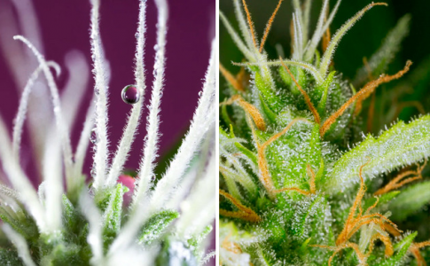 1697711282888.png 1697711282888.png