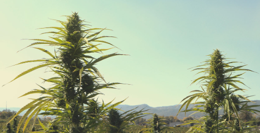 1697734346669.png 1697734346669.png