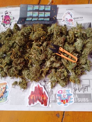 IMG_20231021_094553_202.jpg IMG_20231021_094553_202.jpg